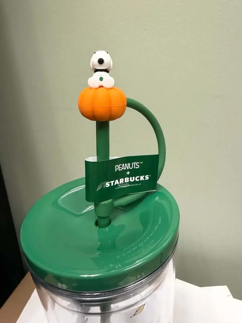 Starbucks Peanuts Autumn Fun Plastic Cold Cup 24oz Size 24 oz